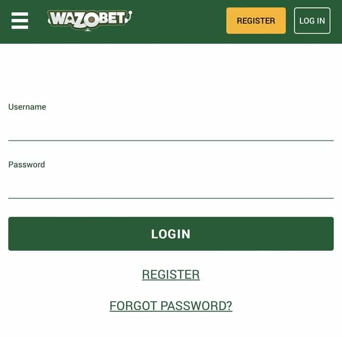 Login Form